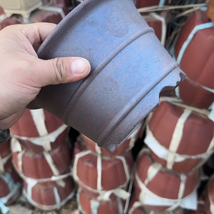 一哈来不急不快嘛亲爱你不要担心嘛哈幺娘哈没睡你