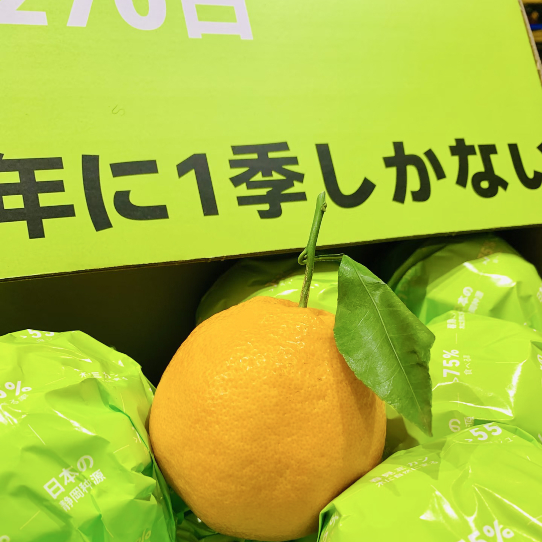 白富美春见丑橘（1箱装）四川省