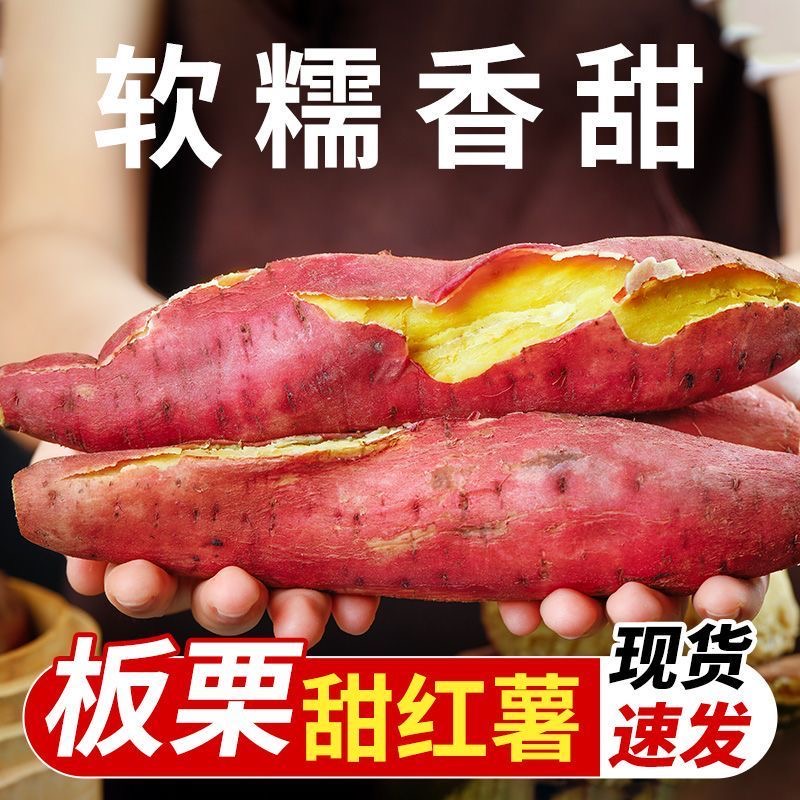 【到手9斤】沙地蜜薯新鲜现挖板栗薯地瓜番薯香甜软糯坏果包赔