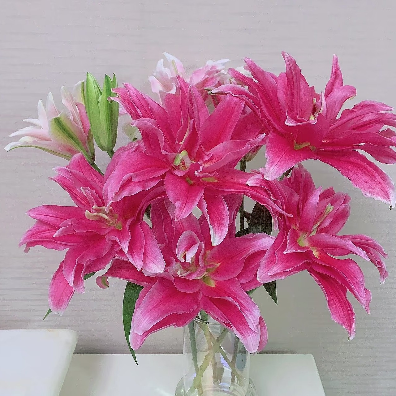 【艾琳娜】重瓣香水百合东北基地直发顺丰鲜家用切花浪漫鲜花花束