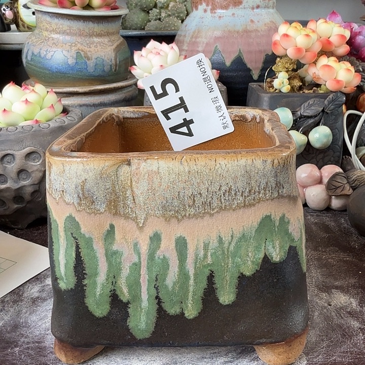 重庆小燕子欢迎大家415