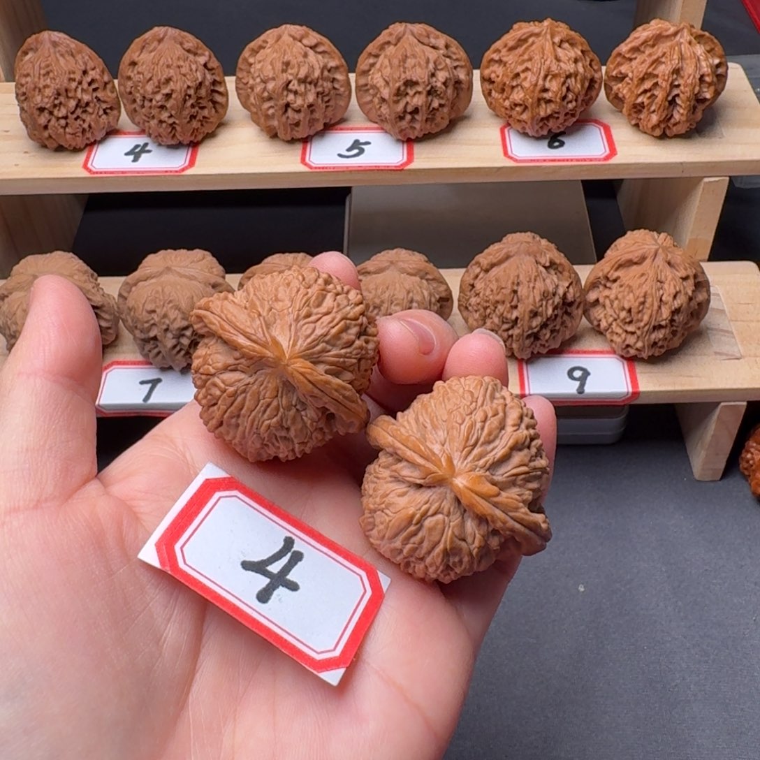 文玩核桃把件白狮子41尺