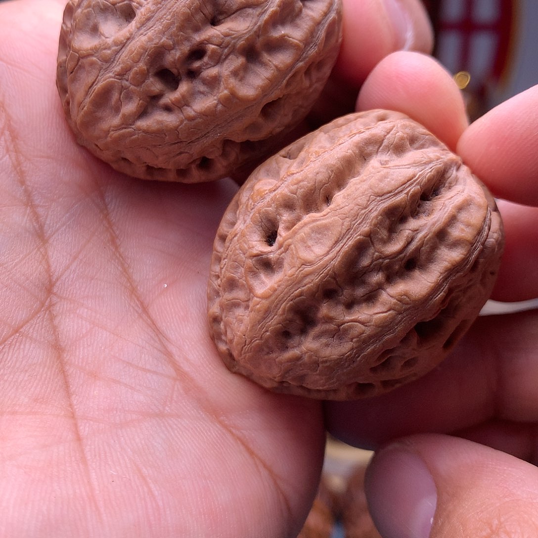 文玩核桃把件东北楸子