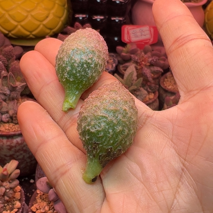 换***情吉祥如意等名家名作和名家