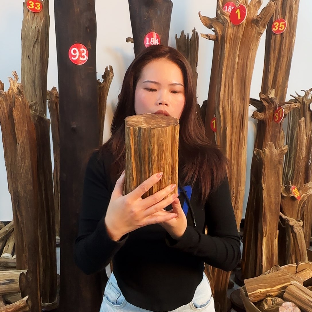 沉香摆件天然沉香原木摆件➕底座