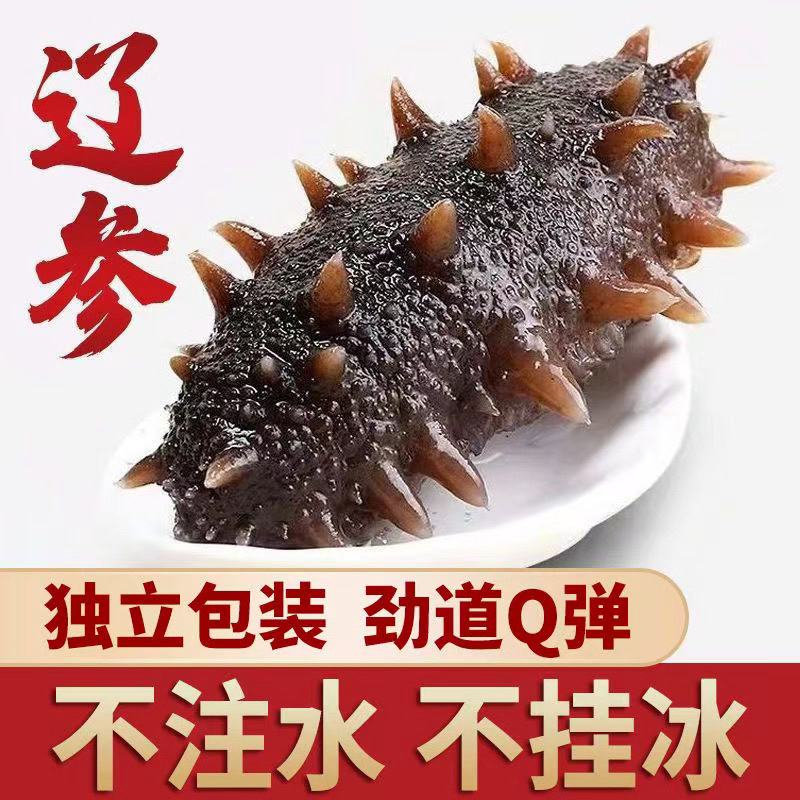 （钊哥专属）大连底播即使海参5-7头（顺丰冷链发货）