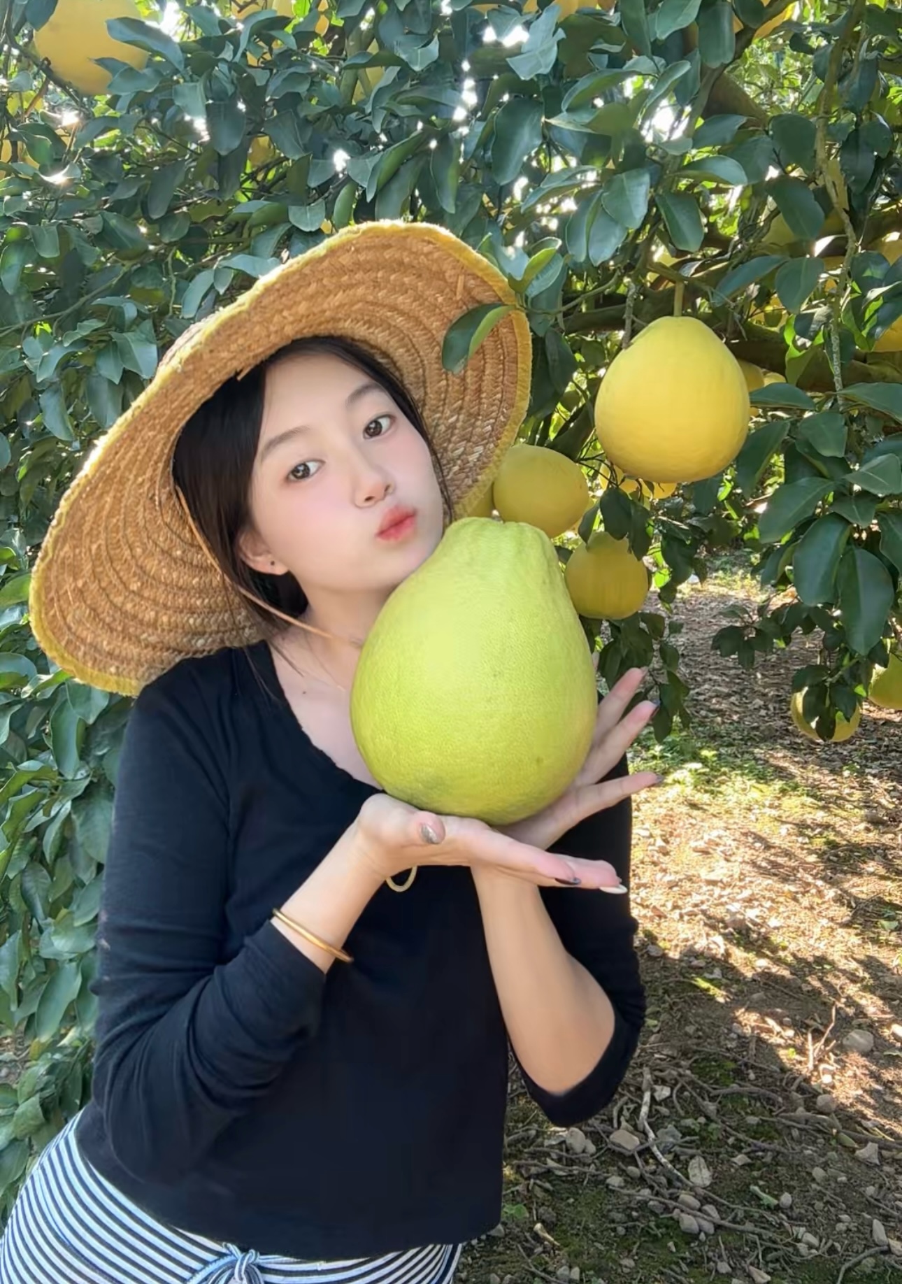 【17专属】正宗湖南永州江永香柚沙田柚50年老树特产水果包邮