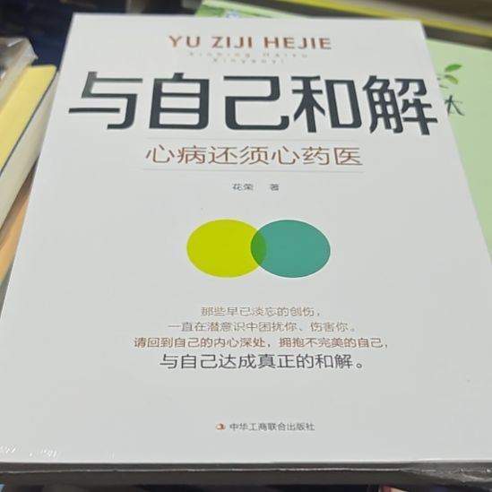 与自己和解平装塑封