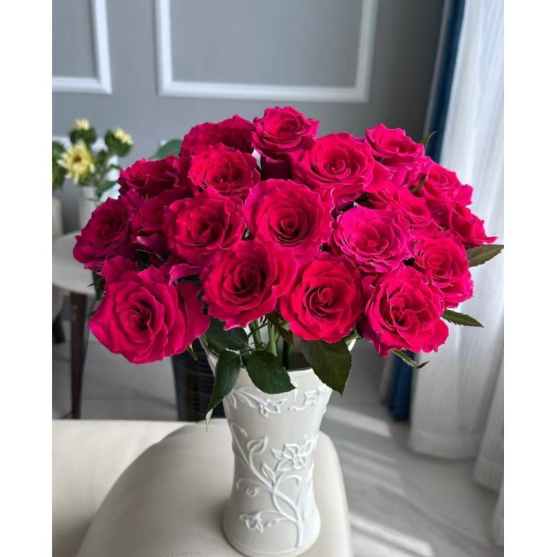 【高胜】单头玫瑰 真花鲜切花云一单中通 拍够任意两单鲜花顺丰