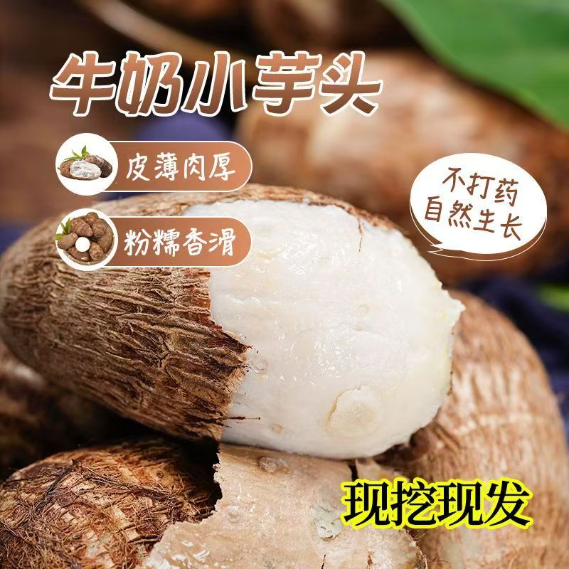 安徽现挖新鲜牛奶小芋头软糯粉香芋头当季蔬菜