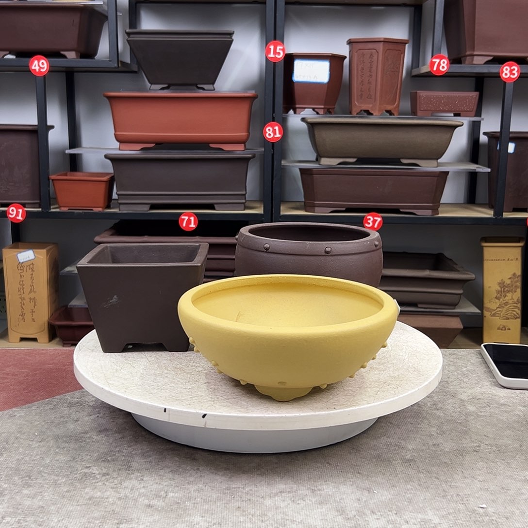 紫砂花盆三只盆福利价，放漏