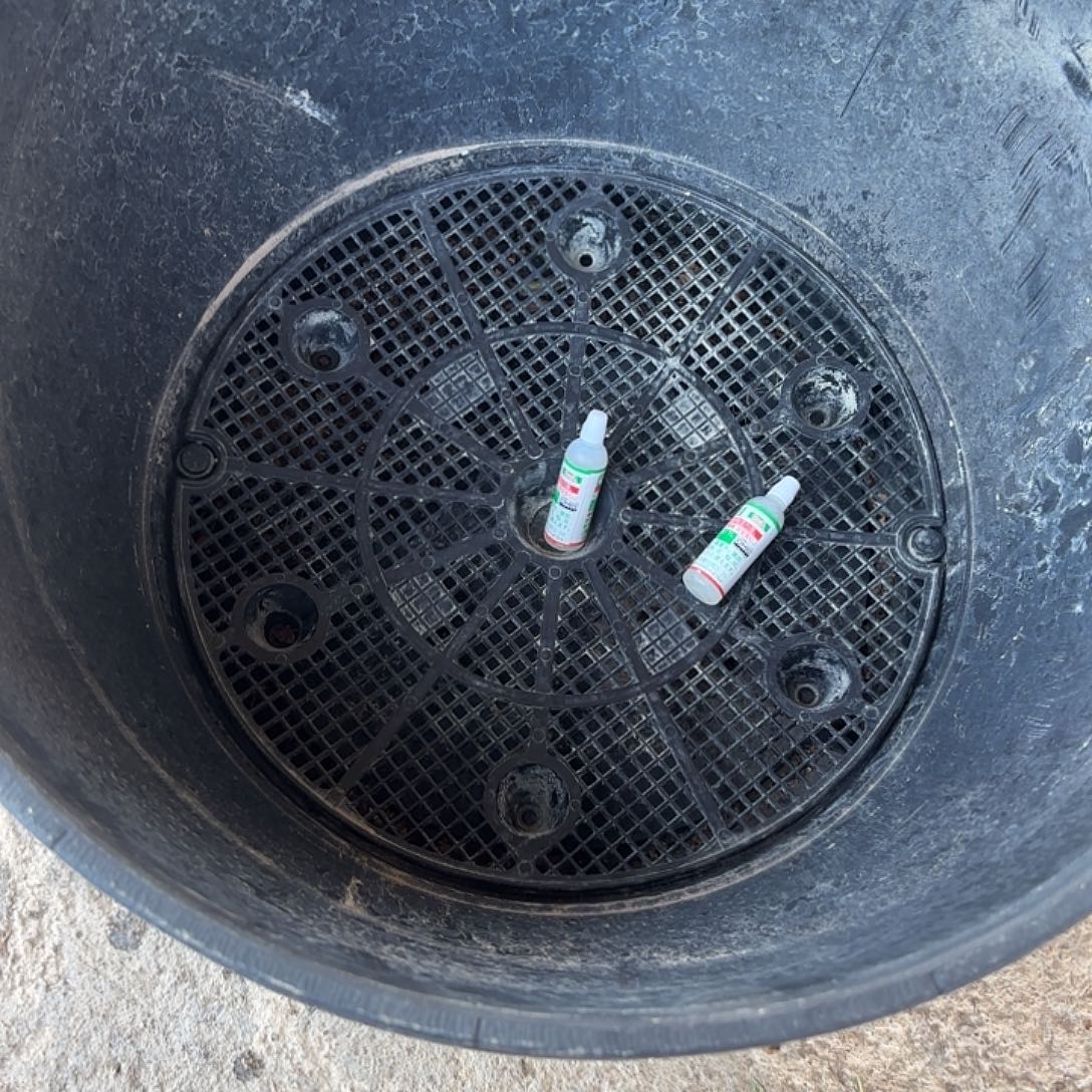 用***源完全开放杜鹃杜鹃杜鹃杜鹃杜鹃杜鹃杜鹃