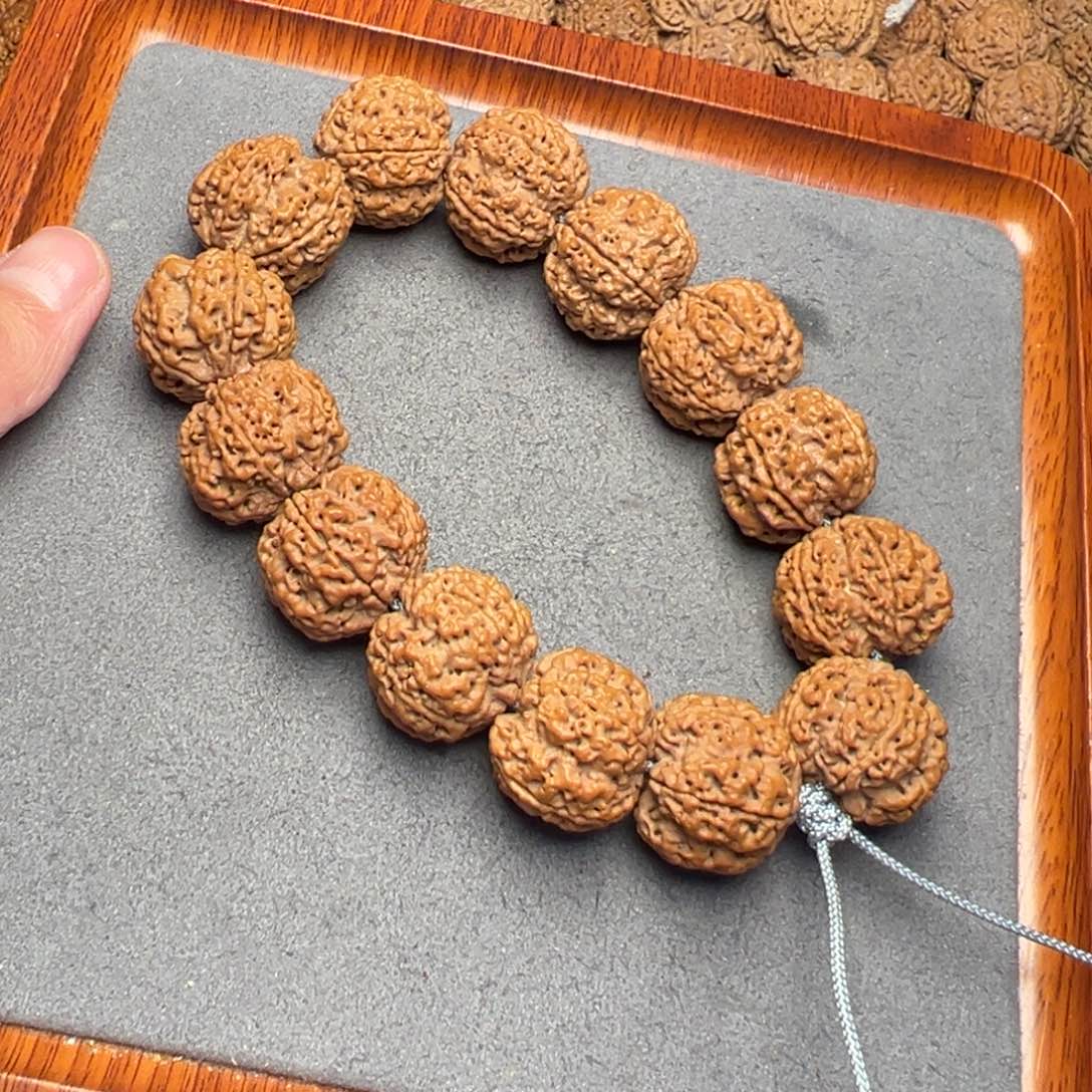 菩提15号尼泊尔大金刚23原生态梅花蜂窝