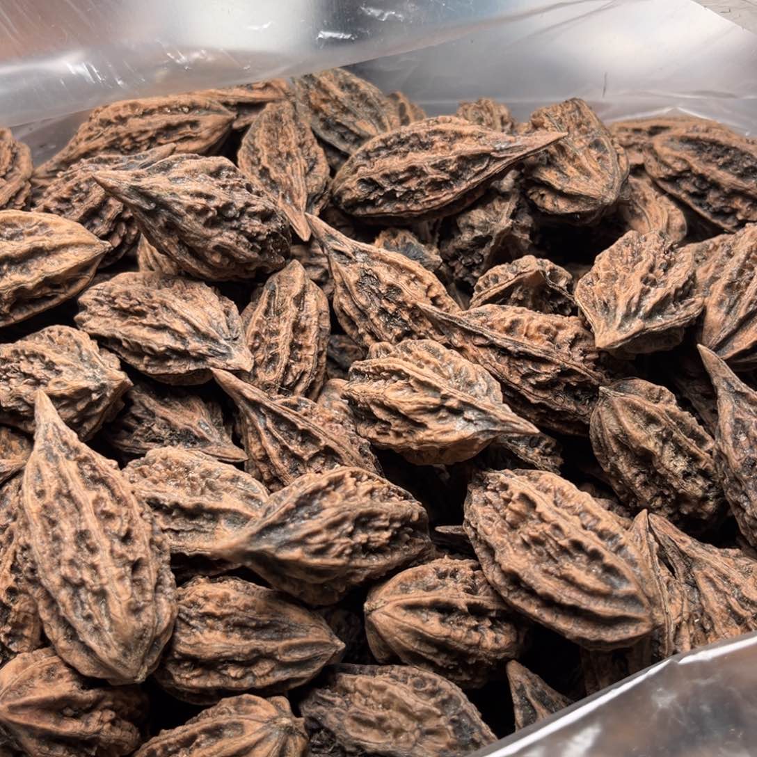 手串文玩核桃核桃14
