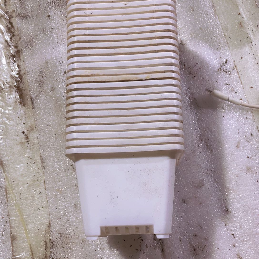 口径10高7白方盆25个