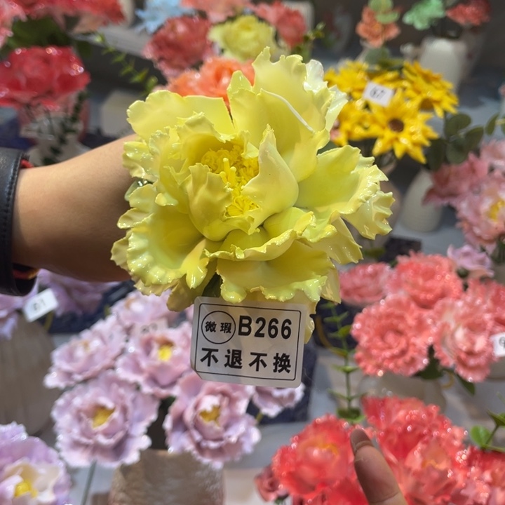 瓷片888558555558888888