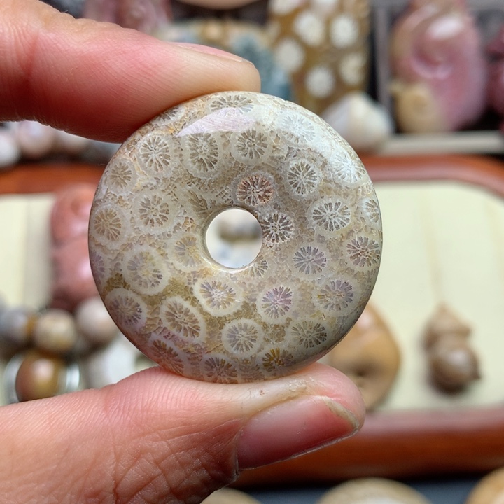 硅化珊瑚（珊瑚玉）颈饰未镶嵌