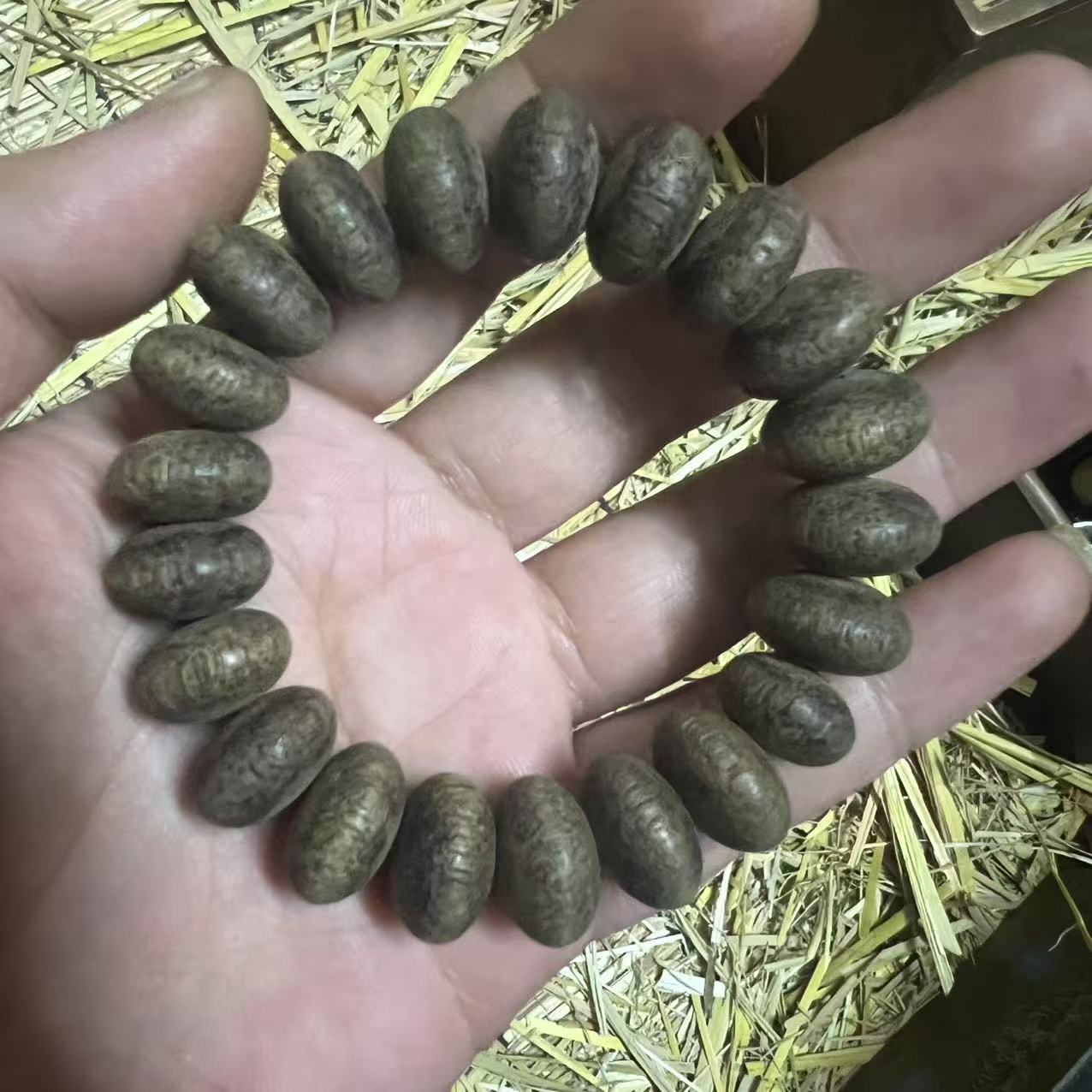 （闪购商品）fl0001沉香手串