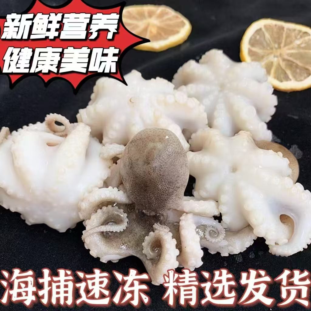 新鲜八爪鱼鲜活冷冻小章鱼迷你短腿八爪鱼大爆头去内脏捞汁小海鲜