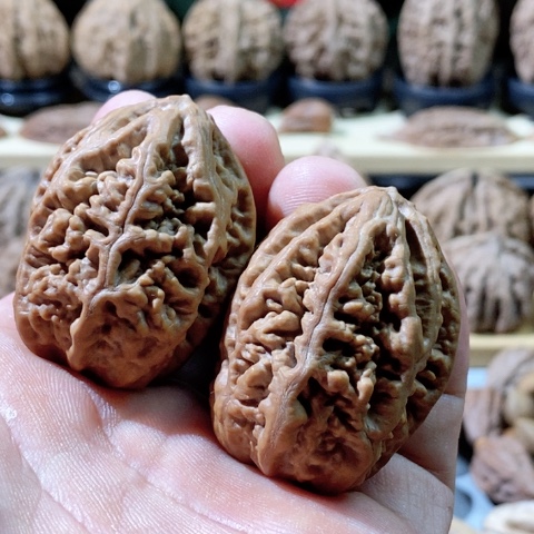 文玩核桃把件老珊瑚