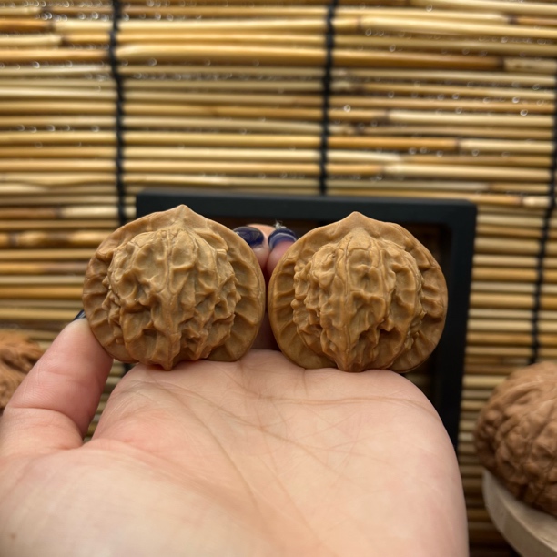 小众高端网红款大耳朵图图41/40/36 