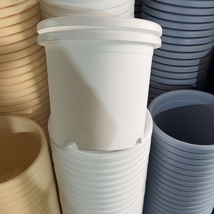 四季5#口径29白色10个无托