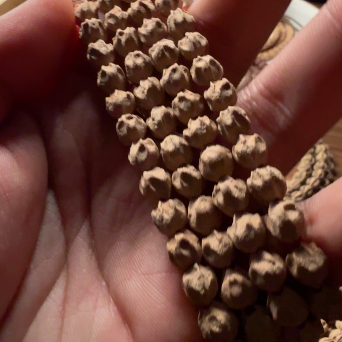 吊坠柏香籽/百香籽