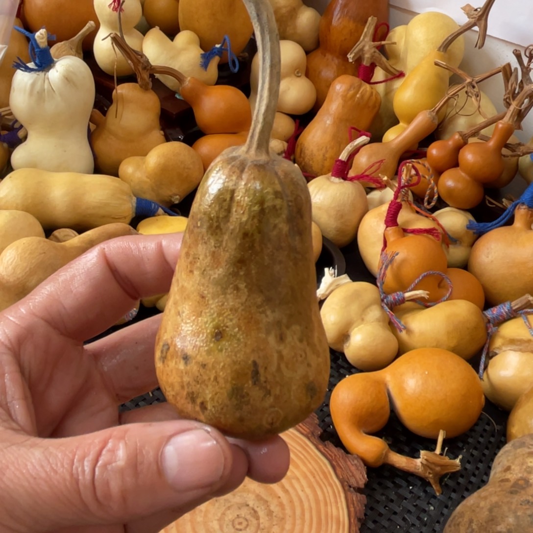 普***r葫芦哈哈哈哈哈哈哈哈