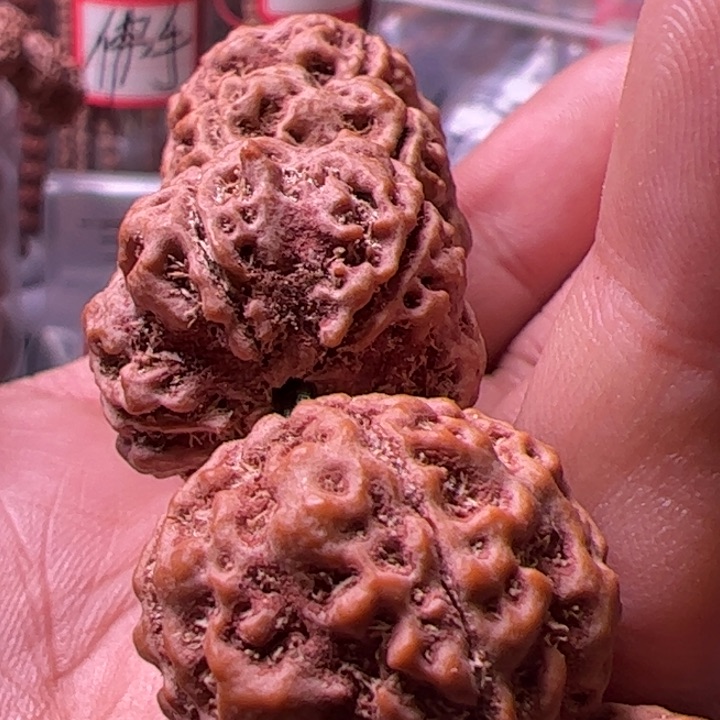 金刚菩提吊坠22➕蜂窝双龙