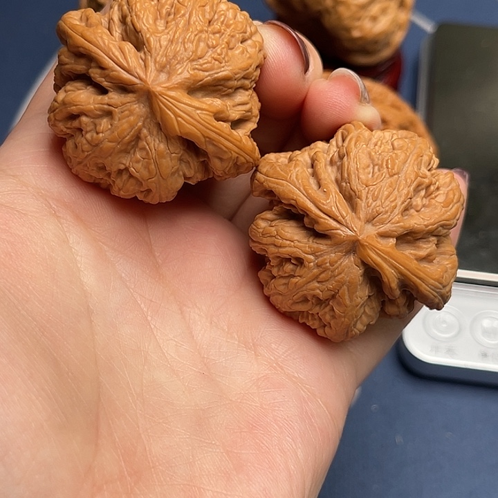 文玩核桃把件粗筋41