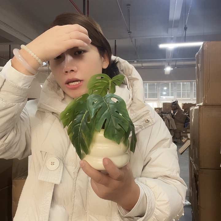 陶瓷假绿植摆件发1