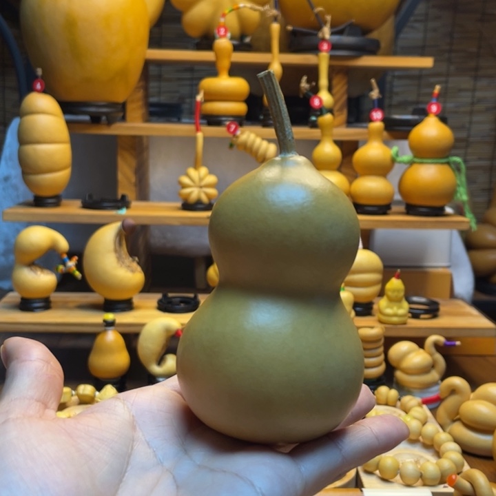 宁***校天然葫芦自然生长