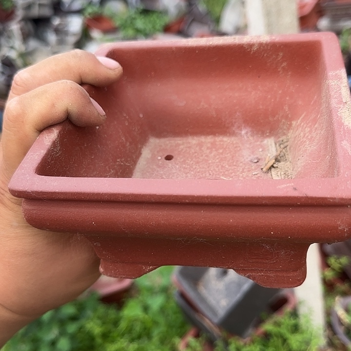 是因为它具有非常丰富且独特