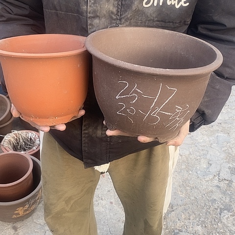 紫砂中国宜兴紫砂花，