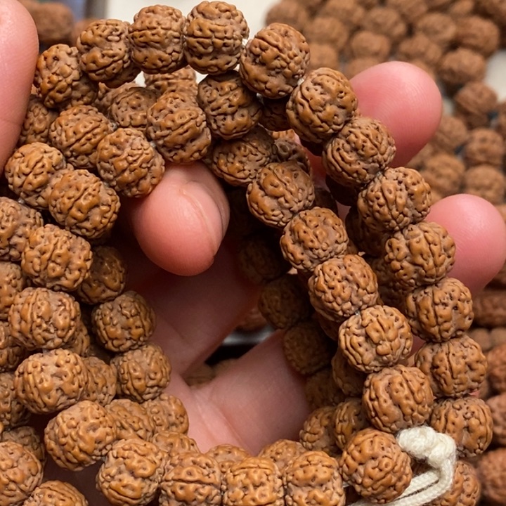 菩提国****）老树梅花