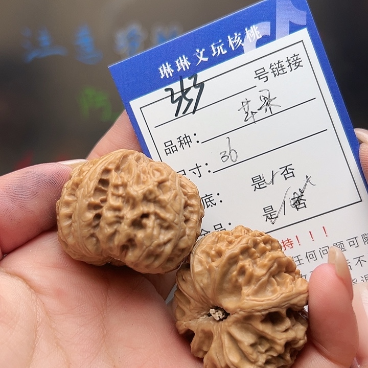 文玩核桃吊坠核桃树353
