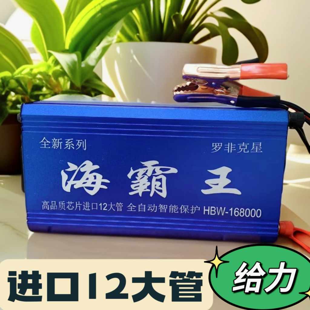 逆变器12大管大功率机头