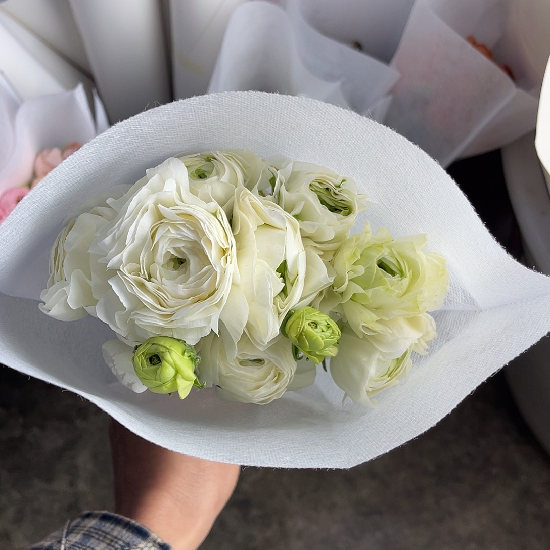 完全开放洋牡丹（青柠）一扎