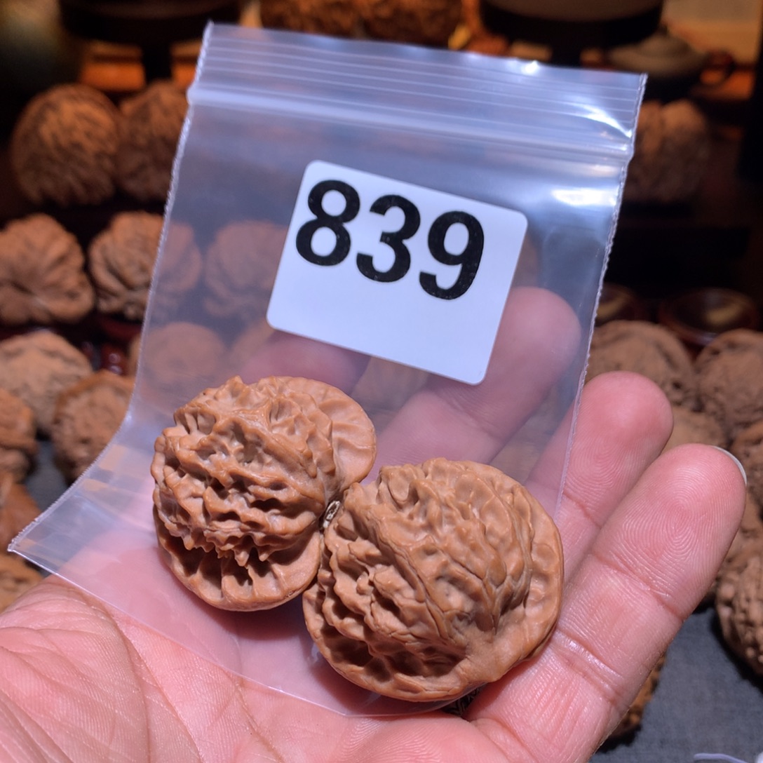 H***O把件桃核龙鳞839号