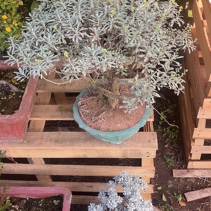 福***海无花朵哈哈哈哈嗨