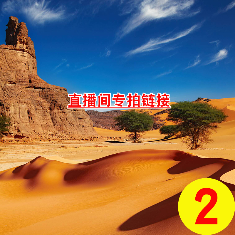 新疆奇石象形石泥石叶子风凌石原石摆件办公室摆件手把件玩石