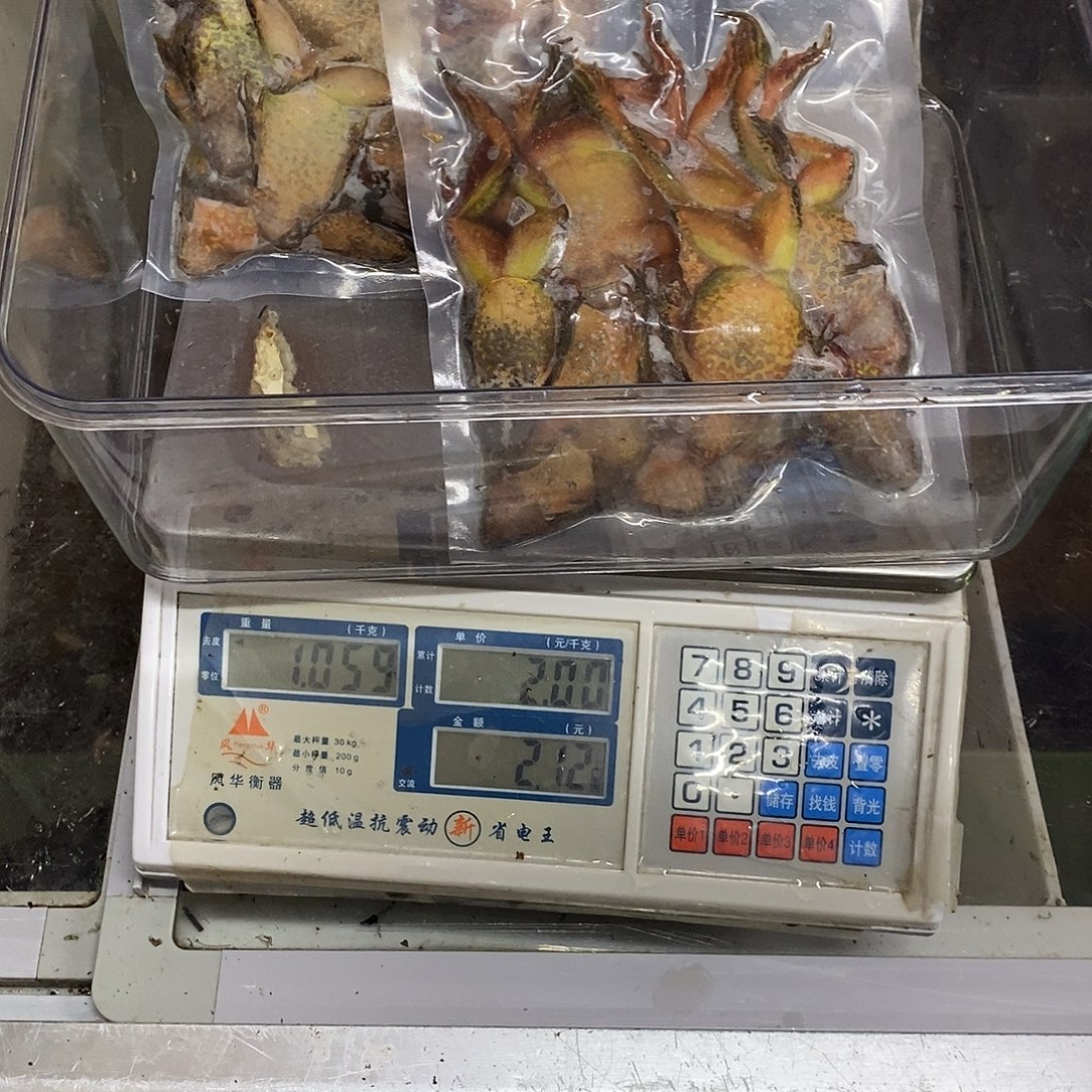 中国大陆新鲜速冻2斤冻母