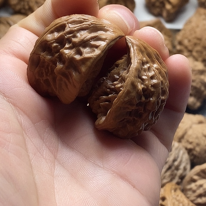 桃核吊坠野生舌头