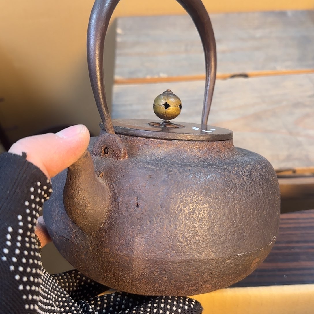 紫砂果果果果果果果果果果风*