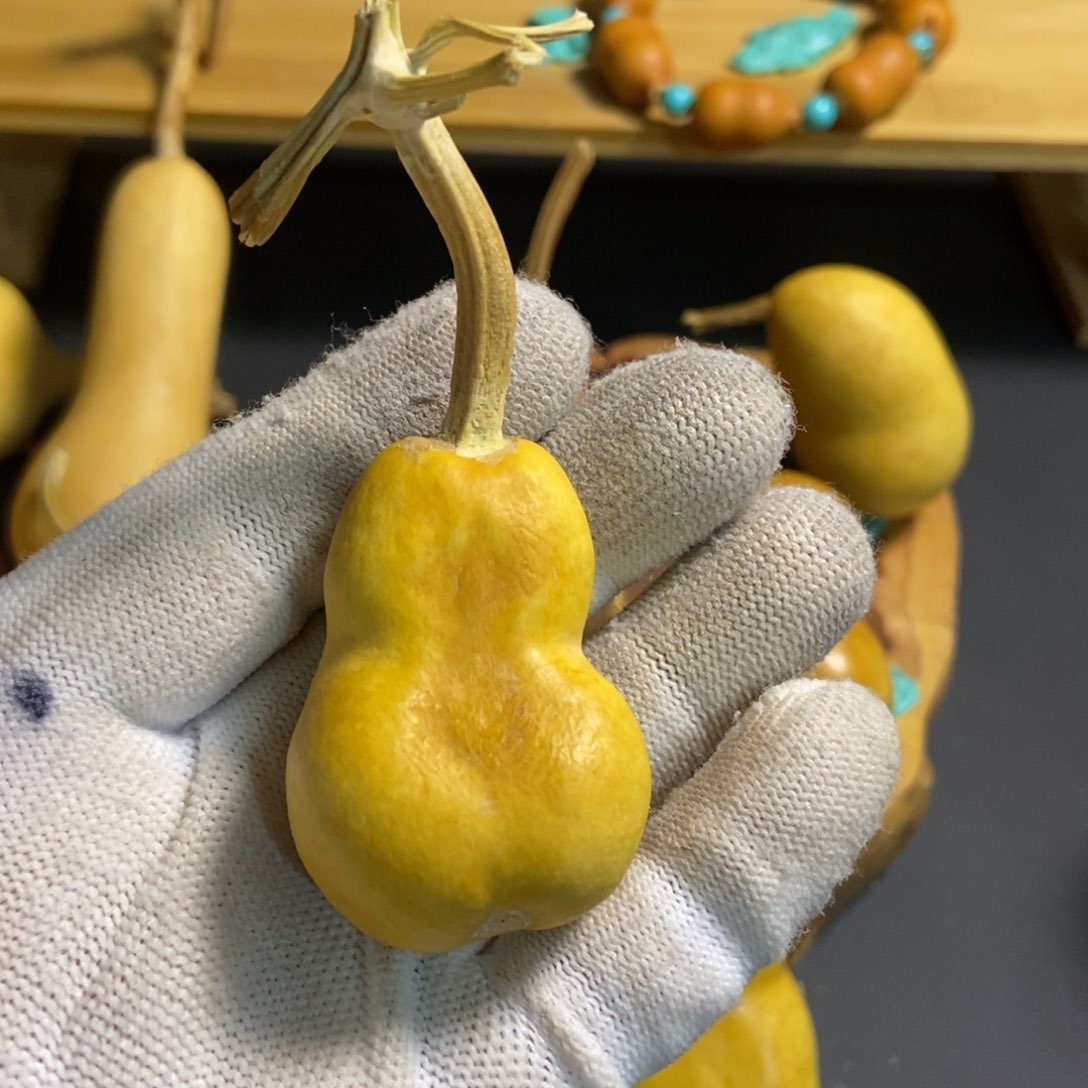 童****机葫芦葫芦真的