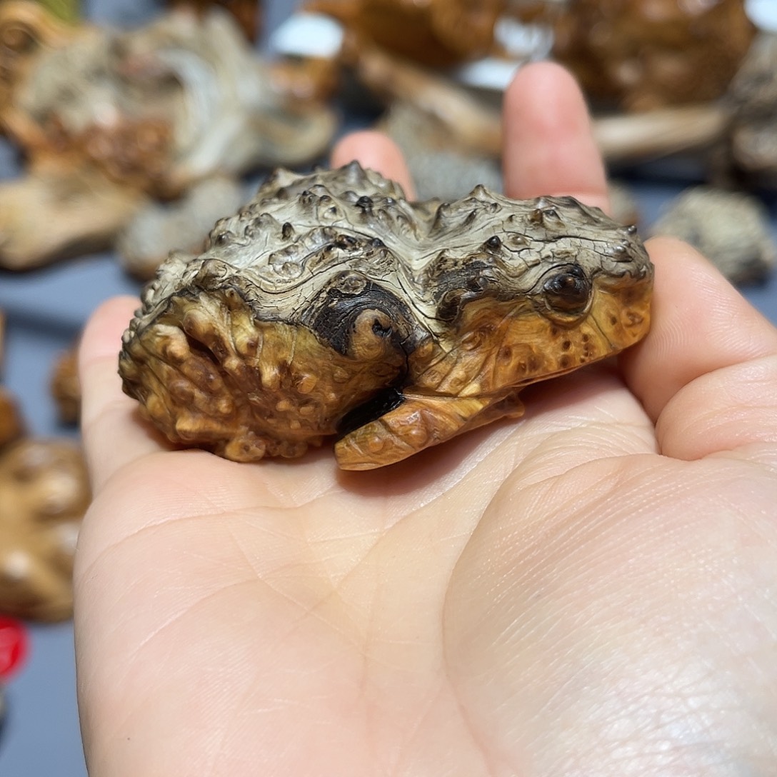 大***午太行崖柏陈华手把玩