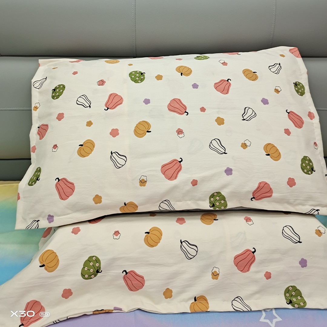 【103】加厚枕套48*74一对装 【南瓜佳人117】