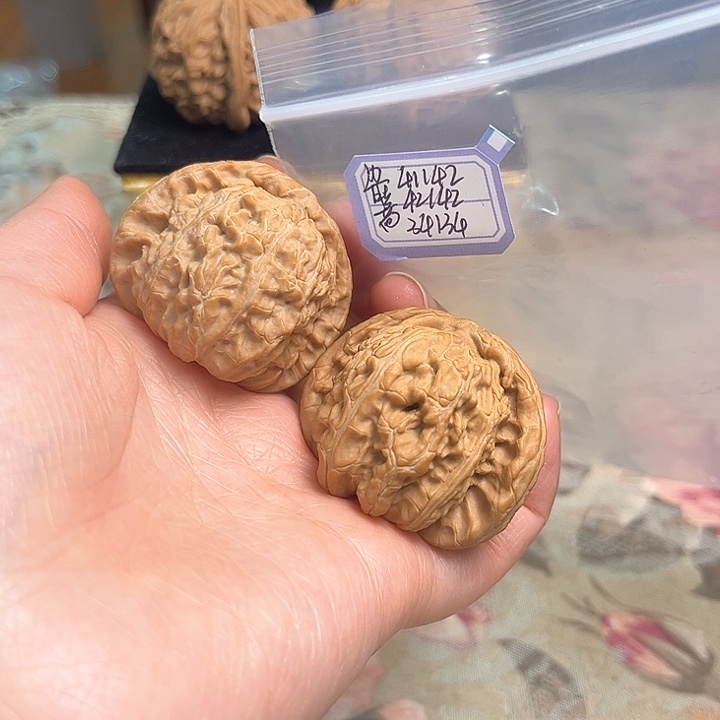 文玩核桃把件白狮子