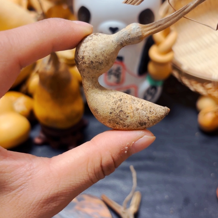 来**力98888888999889998888