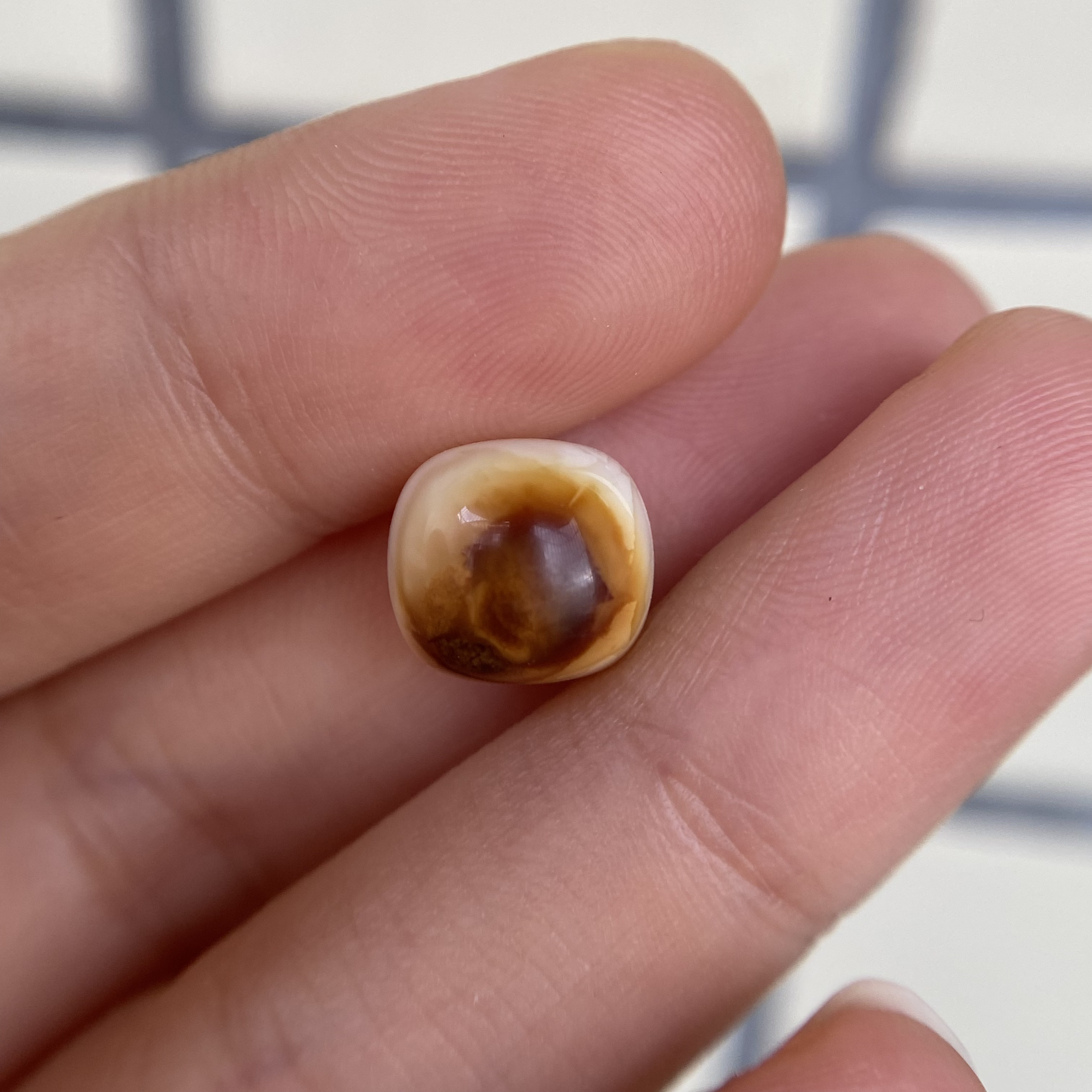 蜜蜡沁色白蜡老型对珠10.6×9.6mm，一边有点小坑眼，介意勿拍